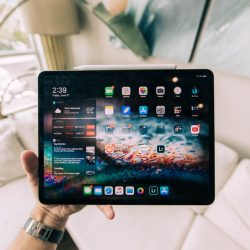 ipad denied entry