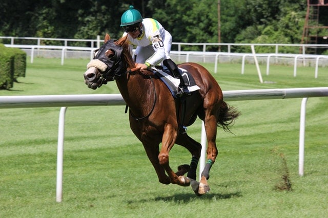 Kentucky Derby Immigrants