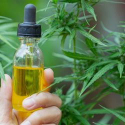 CBD Border Immigration