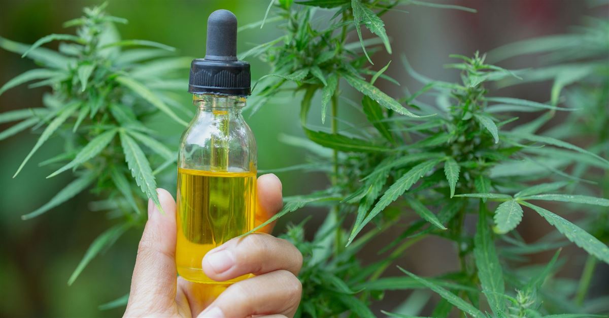 CBD Border Immigration