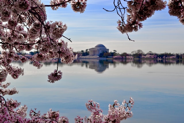 Immigrate to Washington DC