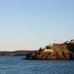 Newfoundland and Labrador Priority Skills
